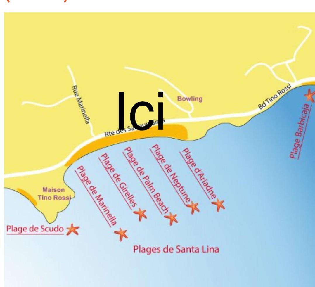 Superbe Pieds Dans L Eau Ajaccio Face A La De Sable Fin Route Des Iles Des Sanguinaires Apartment Ajaccio (Corsica)